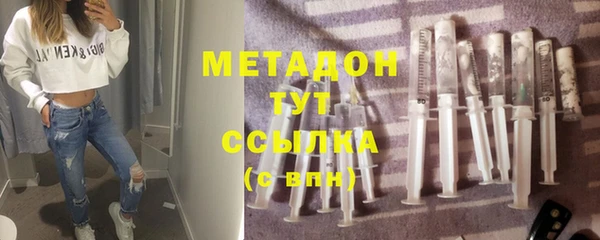 стаф Алзамай