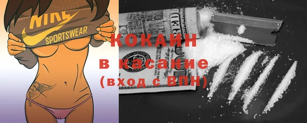 стаф Алзамай