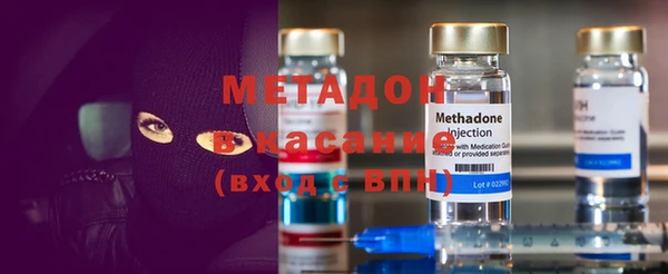 стаф Алзамай