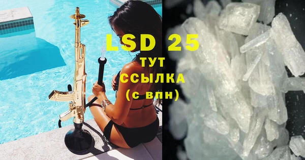 стаф Алзамай