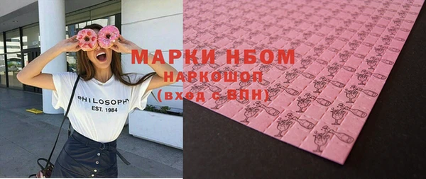 стаф Алзамай