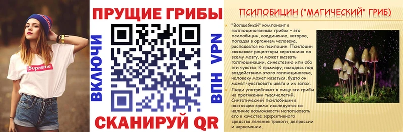 даркнет сайт  Данилов  Псилоцибиновые грибы Psilocybine cubensis 