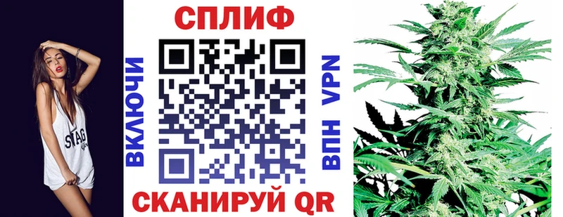 Шишки марихуана Amnesia  Данилов 